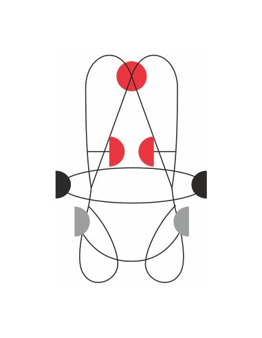 Harnais antichute avec ceinture de maintien intégrée - ELEKTRON - CAMP®