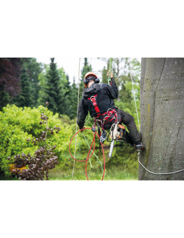 Harnais cuissard d’élagage + pontet de suspension - TREE ACCESS EVO - CAMP®