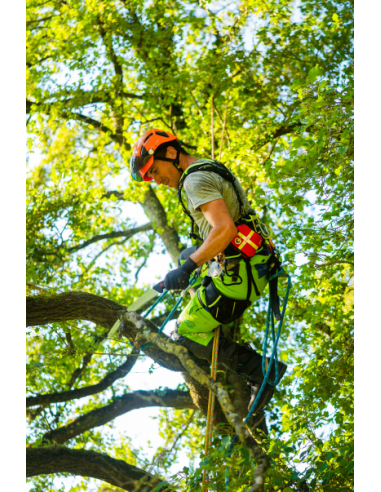 Harnais cuissard d'élagage - KOALA V2.0 - COURANT®