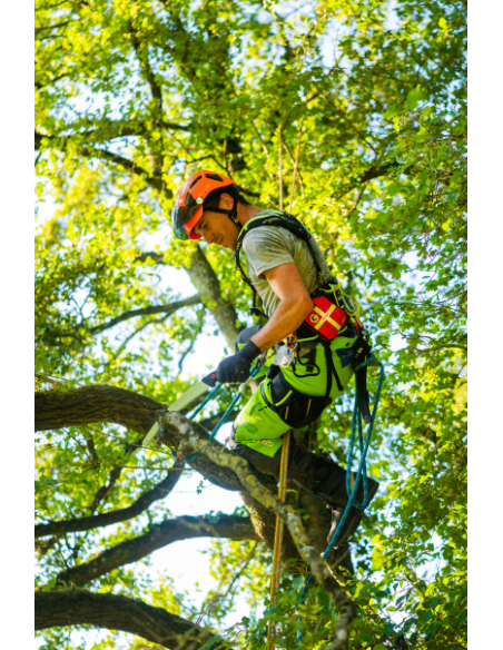 Harnais cuissard d'élagage - KOALA V2.0 - COURANT®