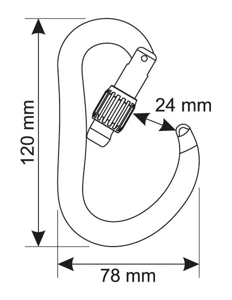 Mousqueton C.A.M.P. Atom Lock Gun Metal