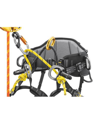 Harnais cuissard d’élagage - SEQUOIA 2026 - PETZL®