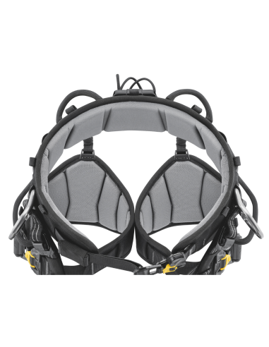 Harnais cuissard d’élagage - SEQUOIA 2026 - PETZL®