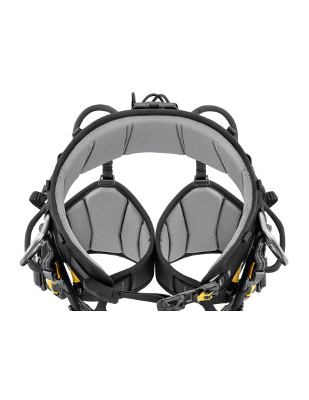 Harnais cuissard d’élagage - SEQUOIA PLUS 2026 - PETZL®