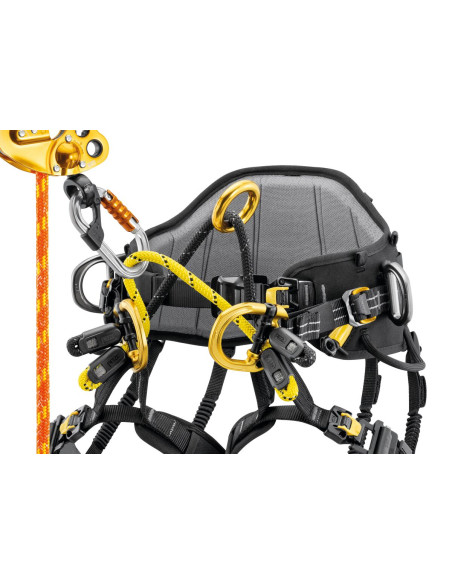 Harnais cuissard d’élagage - SEQUOIA PLUS 2026 - PETZL®